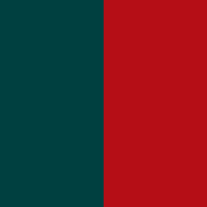 581dbca785a65a3b0b92d840648876e4