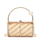 Women's Metal Hand Cage One evening Bag