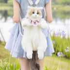 bd0d0147be48f57f111aafdc587ad2d5